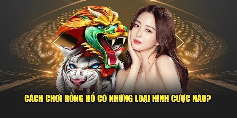 Cách chơi rồng hổ có những loại hình cược nào? 